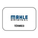 MAHLE TERMICO